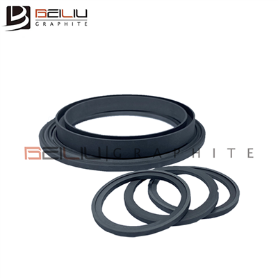 Graphite Sealing Ring